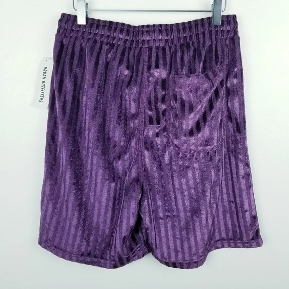 Urban Outfitters Plum Striped Velvet Suede Shorts NWT